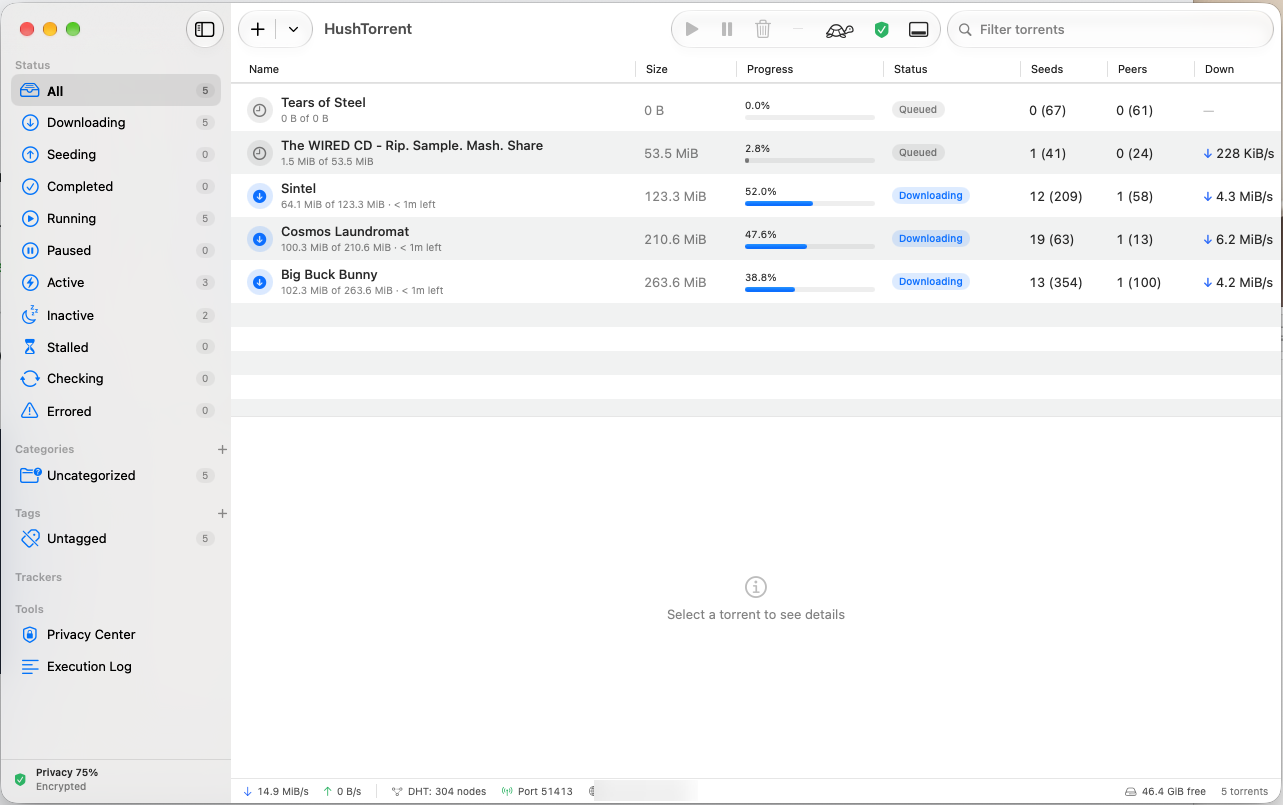 HushTorrent's main window: five torrents downloading with progress bars, speeds, seeds and peers, and a privacy status in the sidebar.